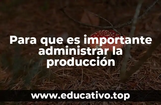 Para que es importante administrar la producción