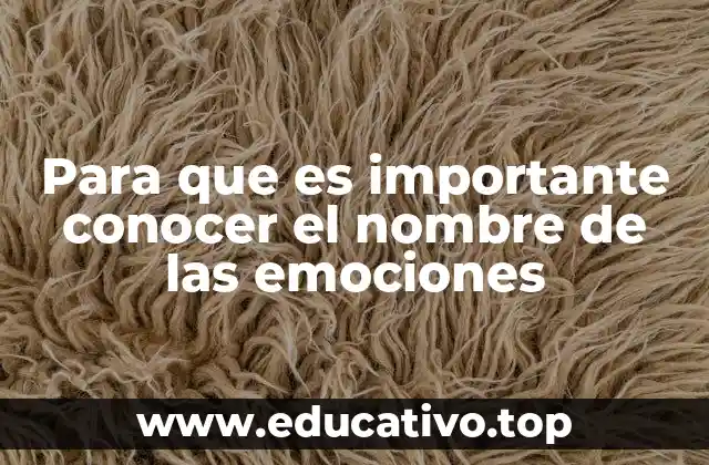 Para que es importante conocer el nombre de las emociones