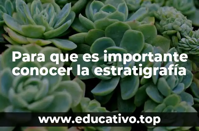 Para que es importante conocer la estratigrafía