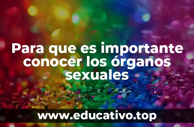 Para que es importante conocer los órganos sexuales