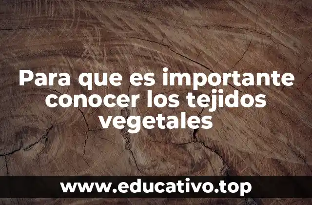 La base biológica de la estructura vegetal