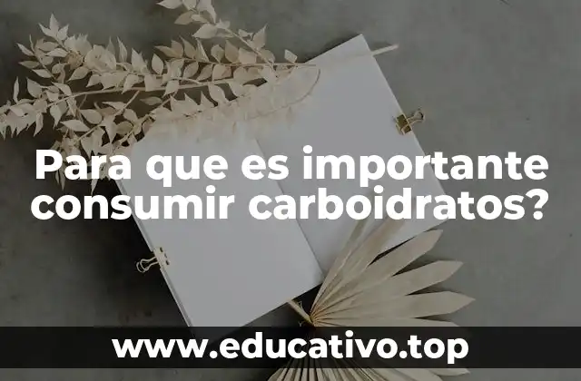La importancia de los carbohidratos en la salud