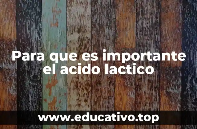Para que es importante el acido lactico