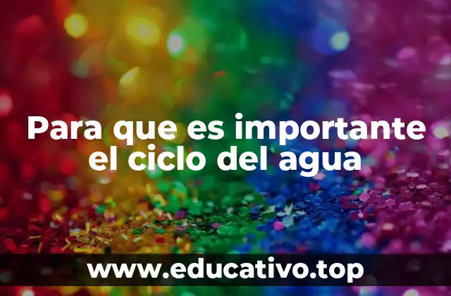 Para que es importante el ciclo del agua
