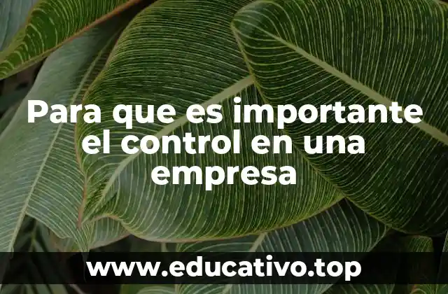 Para que es importante el control en una empresa