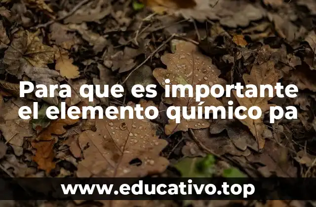 Para que es importante el elemento químico pa