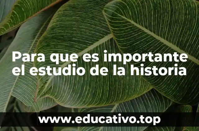 Para que es importante el estudio de la historia