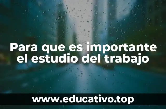 Para que es importante el estudio del trabajo
