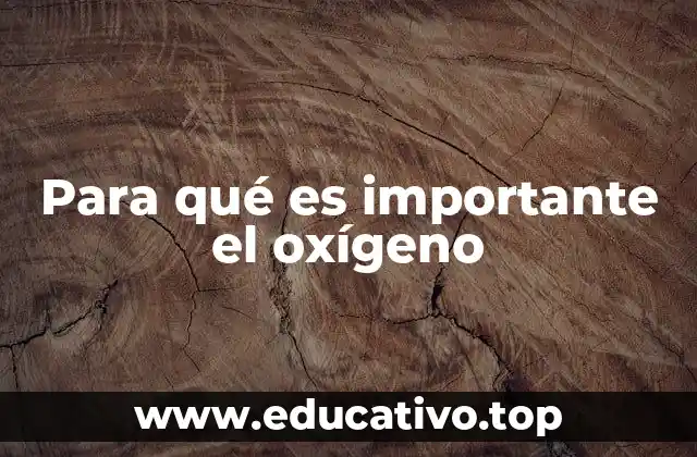 Para qué es importante el oxígeno