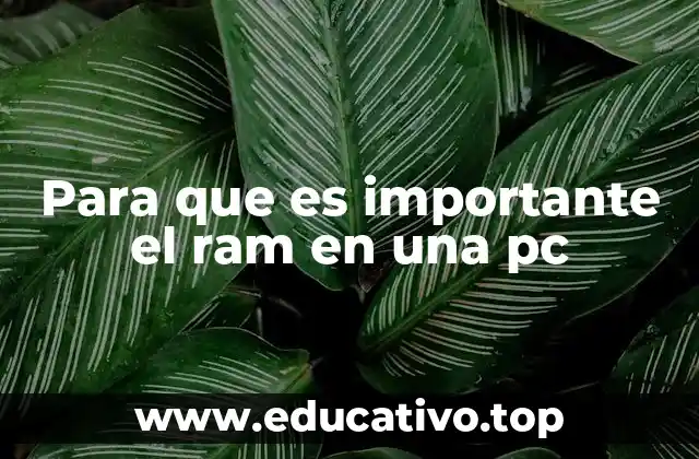 El impacto del RAM en el rendimiento de las aplicaciones