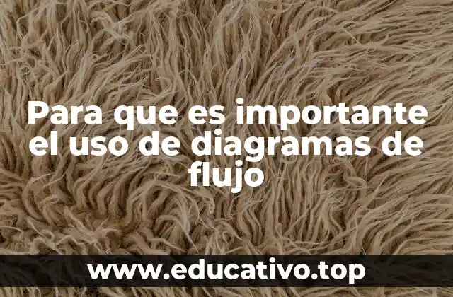 Para que es importante el uso de diagramas de flujo
