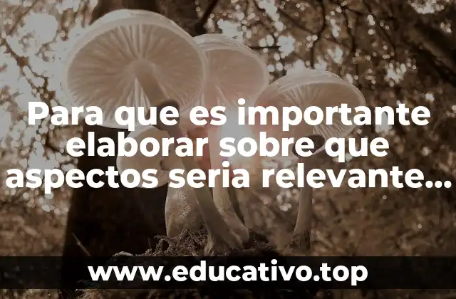 Para que es importante elaborar sobre que aspectos seria relevante informar