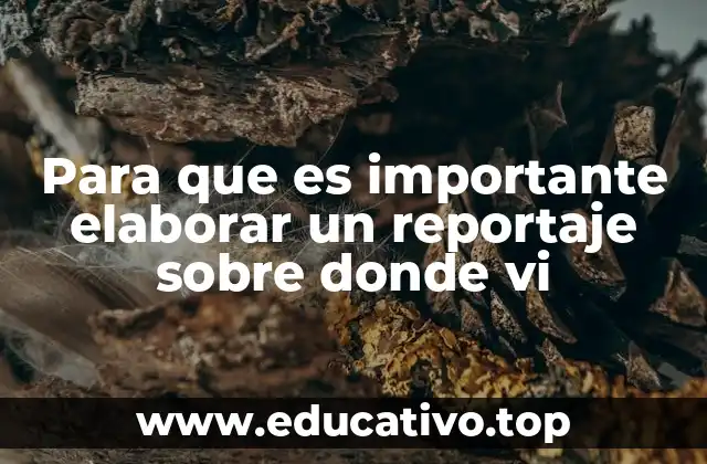 Para que es importante elaborar un reportaje sobre donde vi