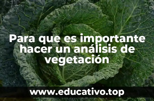 Para que es importante hacer un análisis de vegetación