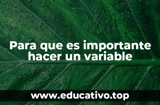 Para que es importante hacer un variable