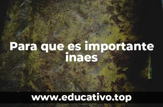 Para que es importante inaes