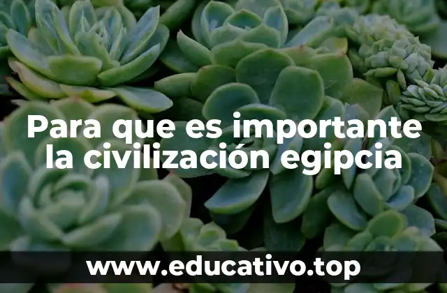 Para que es importante la civilización egipcia