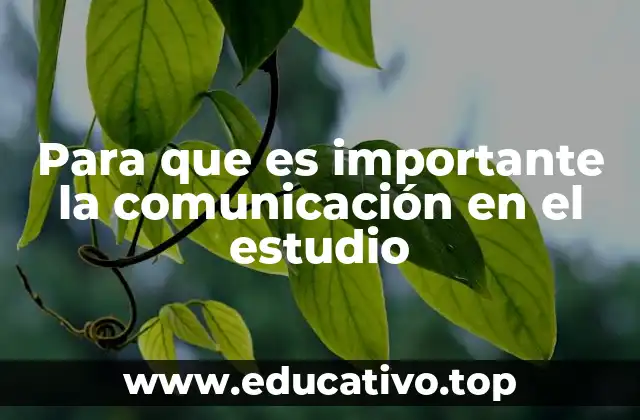 Para que es importante la comunicación en el estudio