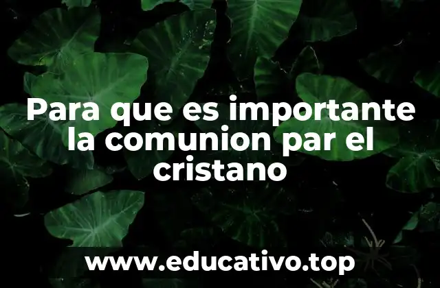 Para que es importante la comunion par el cristano