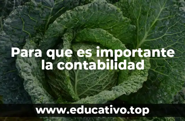 Para que es importante la contabilidad