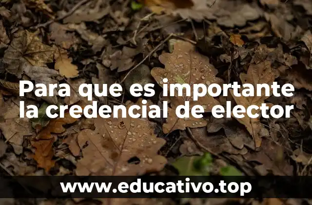 Para que es importante la credencial de elector