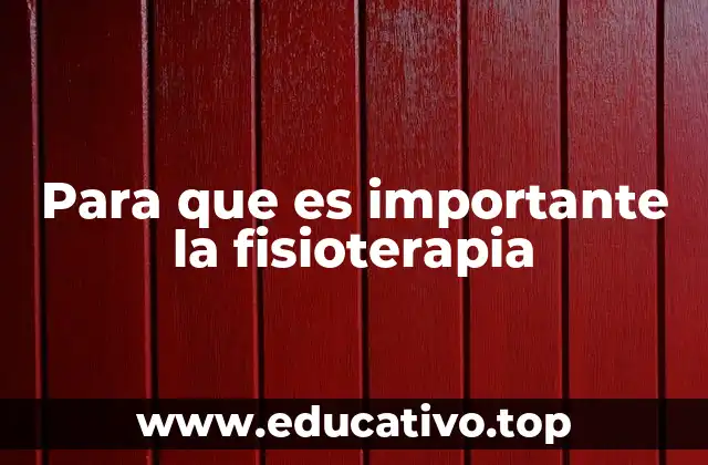 El impacto de la fisioterapia en la vida diaria
