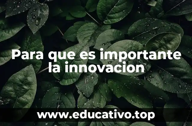 Para que es importante la innovacion