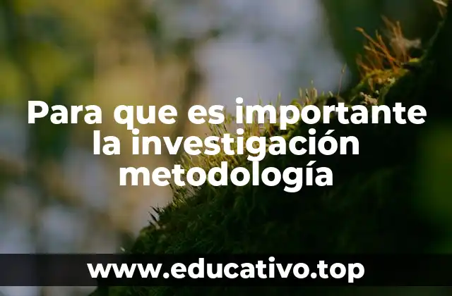 Para que es importante la investigación metodología