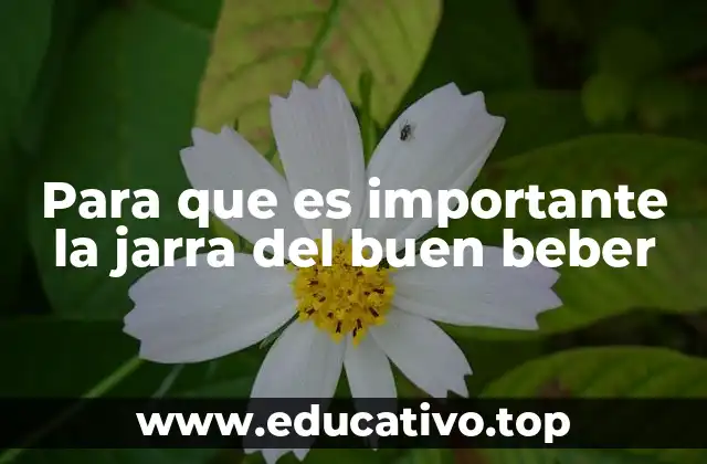 Para que es importante la jarra del buen beber
