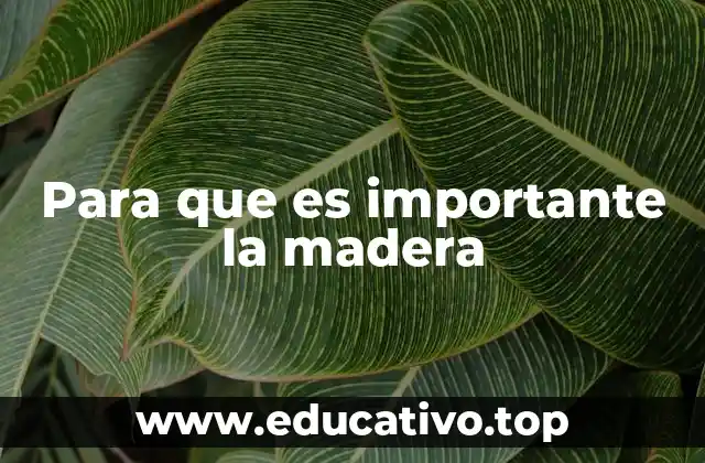 Para que es importante la madera