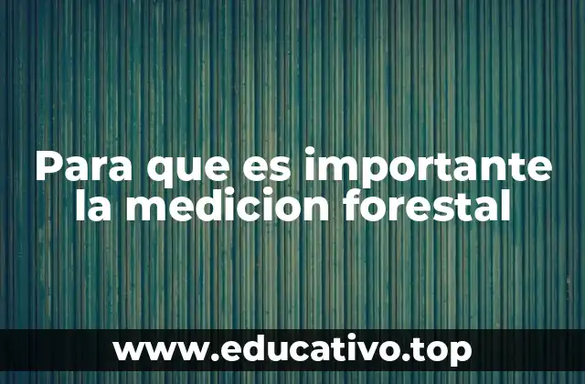 Para que es importante la medicion forestal