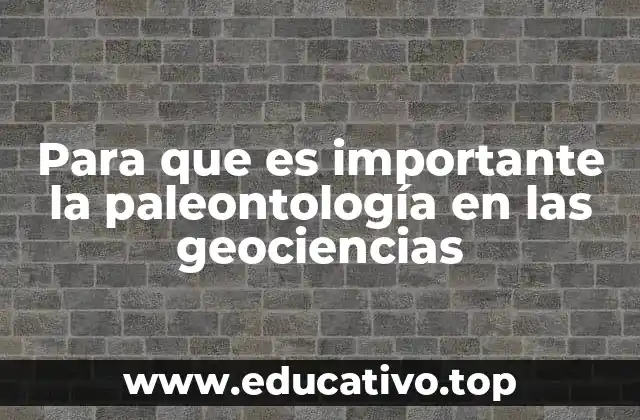 Para que es importante la paleontología en las geociencias