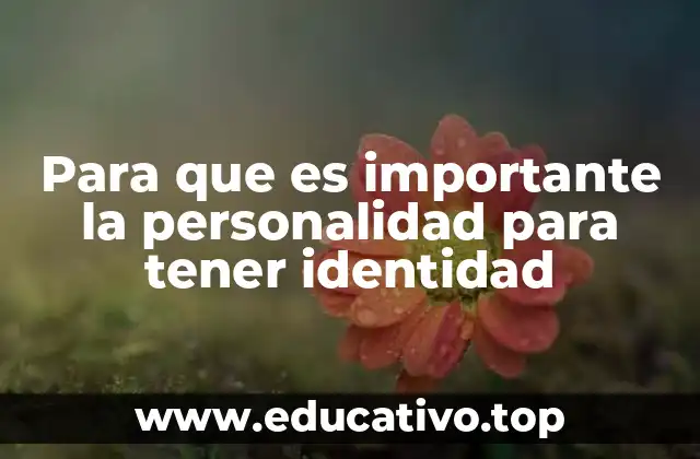 Para que es importante la personalidad para tener identidad