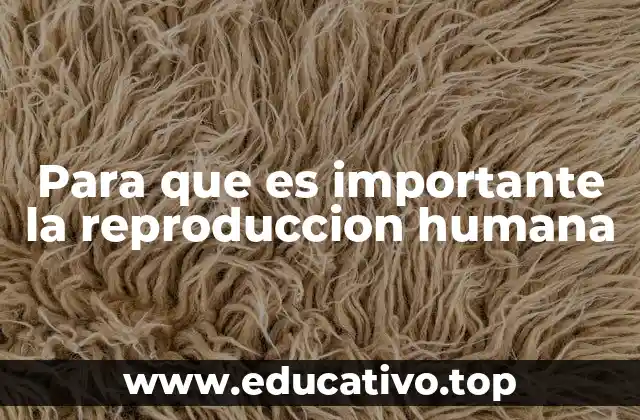 Para que es importante la reproduccion humana