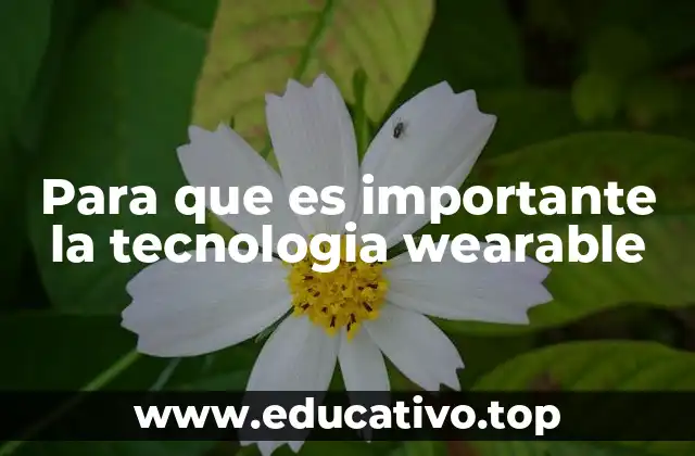 Para que es importante la tecnologia wearable