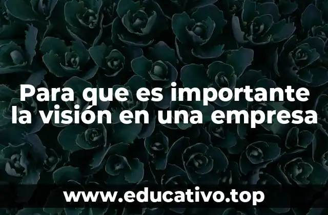 Para que es importante la visión en una empresa