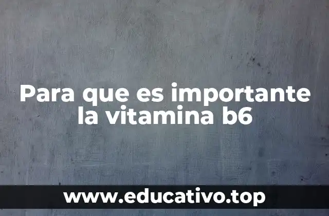 Para que es importante la vitamina b6
