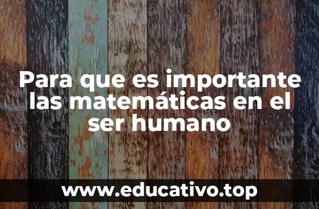Para que es importante las matemáticas en el ser humano