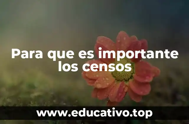 Para que es importante los censos