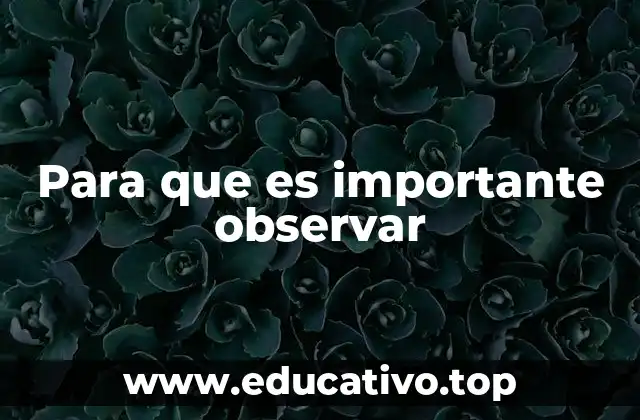 Para que es importante observar