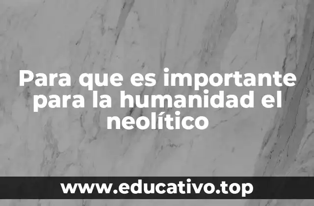 Para que es importante para la humanidad el neolítico