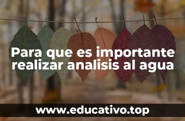 Para que es importante realizar analisis al agua