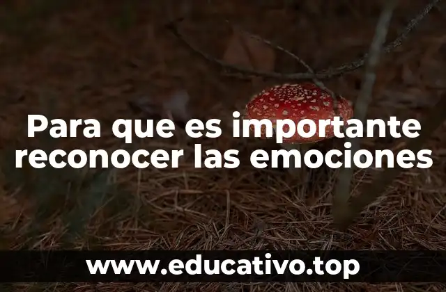 Para que es importante reconocer las emociones