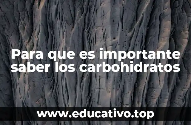 Para que es importante saber los carbohidratos