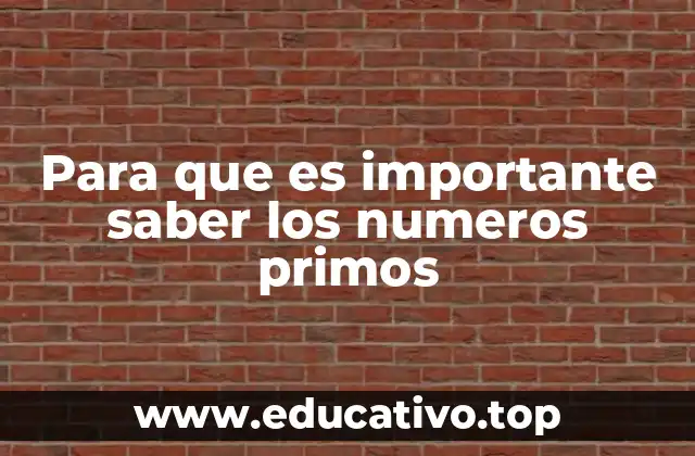 Para que es importante saber los numeros primos
