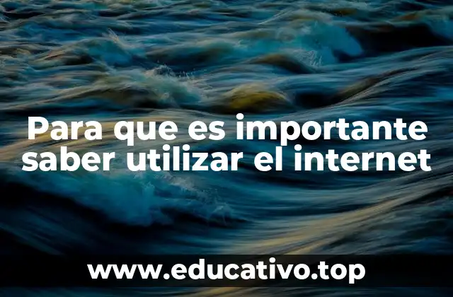 Para que es importante saber utilizar el internet