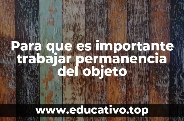 Para que es importante trabajar permanencia del objeto