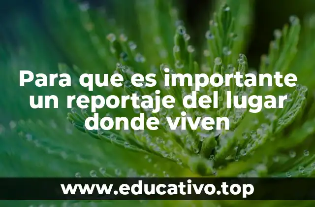 Para que es importante un reportaje del lugar donde viven