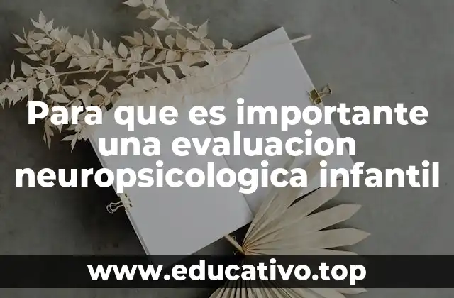 Para que es importante una evaluacion neuropsicologica infantil