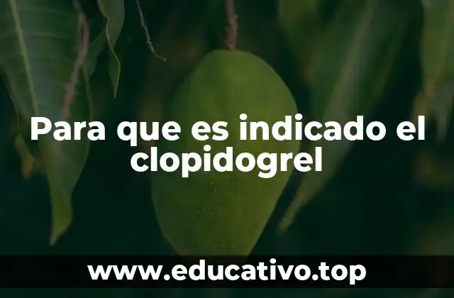 Para que es indicado el clopidogrel